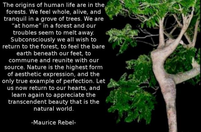 Spend time in Nature whenever possible. Even walking barefoot in the grass for a few minutes can help. Or lie on your back and watch the clouds in the sky or the stars at night. There are lots of ways to get in touch with a little nature, and just notice how good it feels to your soul.