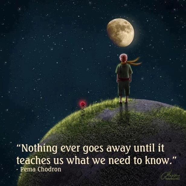“Learn from yesterday, live for today, hope for tomorrow. The important thing is to not stop questioning.” -Albert Einstein