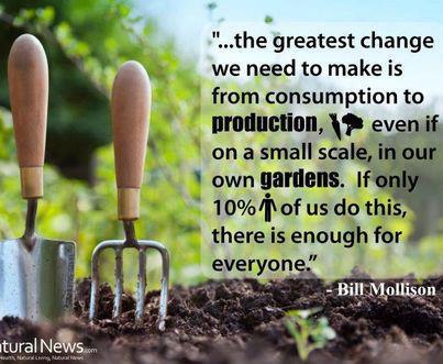 Consume only what is necessary. Focus on production. Grow your own food if you can, cultivate ideas, create art or music. Use your energy to contribute something of meaning and value to the world. Use your gifts, and SHARE, SHARE, SHARE.