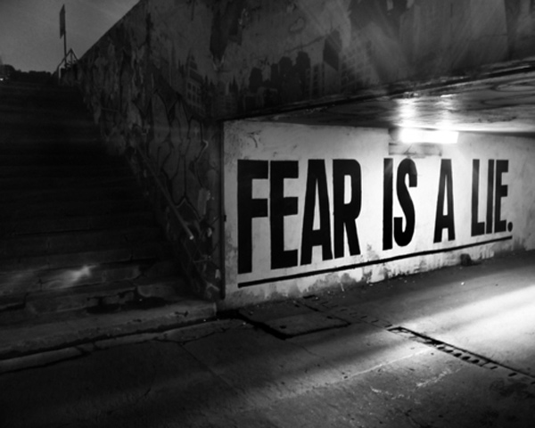 “As long as enough people can be frightened, then all people can be ruled. That is how it works in a democratic system and mass fear becomes the ticket to destroy rights across the board.” ~James Bovard