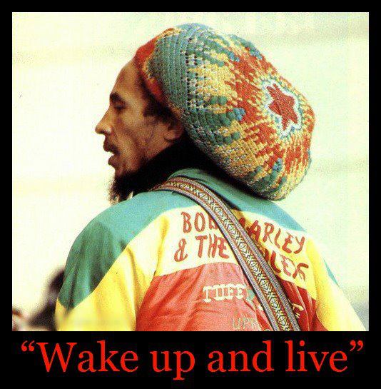  “To live is the rarest thing in the world. Most people exist, that is all.”  ~ Oscar Wilde 