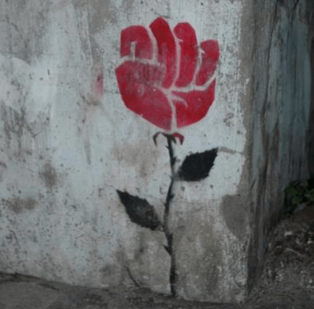 Your heart is a weapon the size of your fist. Keep fighting. Keep loving.