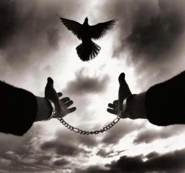 “Better to die fighting for freedom then be a prisoner all the days of your life.”  ~Bob Marley 	