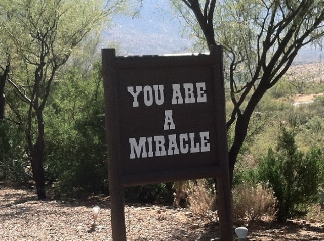 “My invitation to you is to begin living every moment as though you are miraculous and deserve to live an extraordinary life. Fake it if you must and keep faking it until it's real to you. The gift you will be giving yourself is a lifelong journey of discovery, one that is infinite and infinitely rewarding. Begin the journey. Today. This moment. Now.”  ~ Robert White