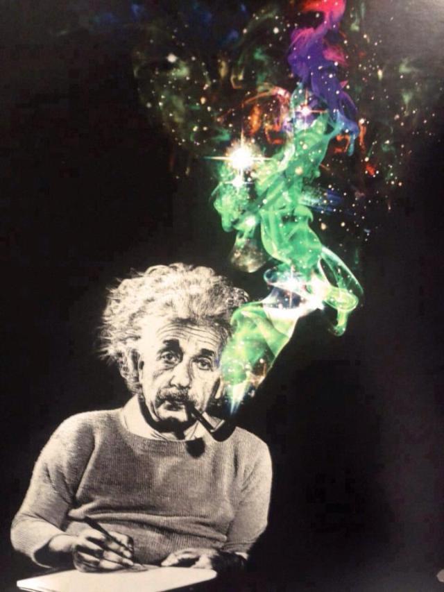 “The intuitive mind is a sacred gift and the rational mind is a faithful servant. We have created a society that honors the servant and has forgotten the gift.” ~Albert Einstein