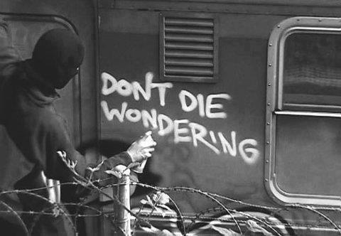 “And then there is the most dangerous risk of all -- the risk of spending your life not doing what you want on the bet you can buy yourself the freedom to do it later.”  ~Randy Komisar