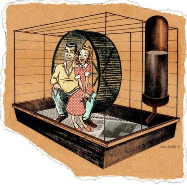 “I'm worried that students will take their obedient place in society and look to become successful cogs in the wheel - let the wheel spin them around as it wants without taking a look at what they're doing. I'm concerned that students not become passive acceptors of the official doctrine that's handed down to them from the White House, the media, textbooks, teachers and preachers.”   ~ Howard Zinn