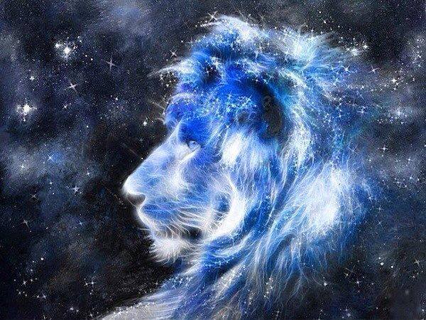 “I was dead, then alive. Weeping, then laughing. The power of love came into me, and I became fierce like a lion, then tender like the evening star.” ~ Rumi
