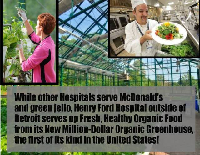 Boasting five types of kale, 23 kinds of heirloom tomatoes, strawberry plants, microgreens, and five varieties each of squash, eggplant, hot and sweet peppers, basil and more, the greenhouse garden at Henry Ford Hospital features an extensive hydroponics system and an exquisite lobby for entertaining, teaching kids and hosting events. Putting health back into hospitals. Love this idea!