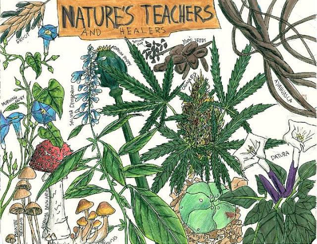 Nature's teachers