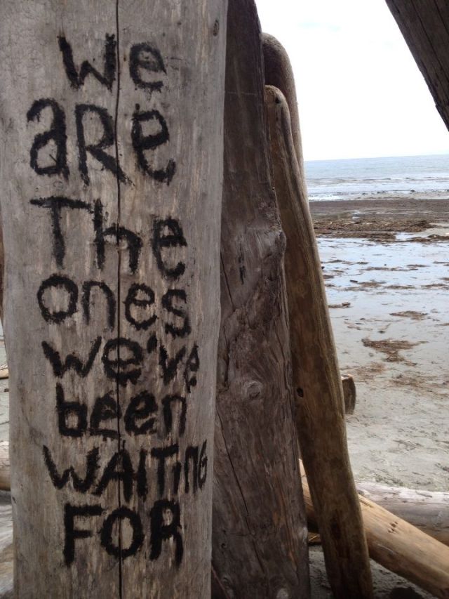 We are the ones we've been waiting for