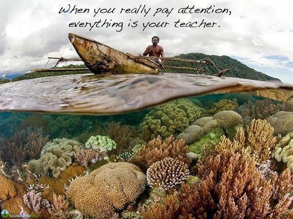 When you really pay attention