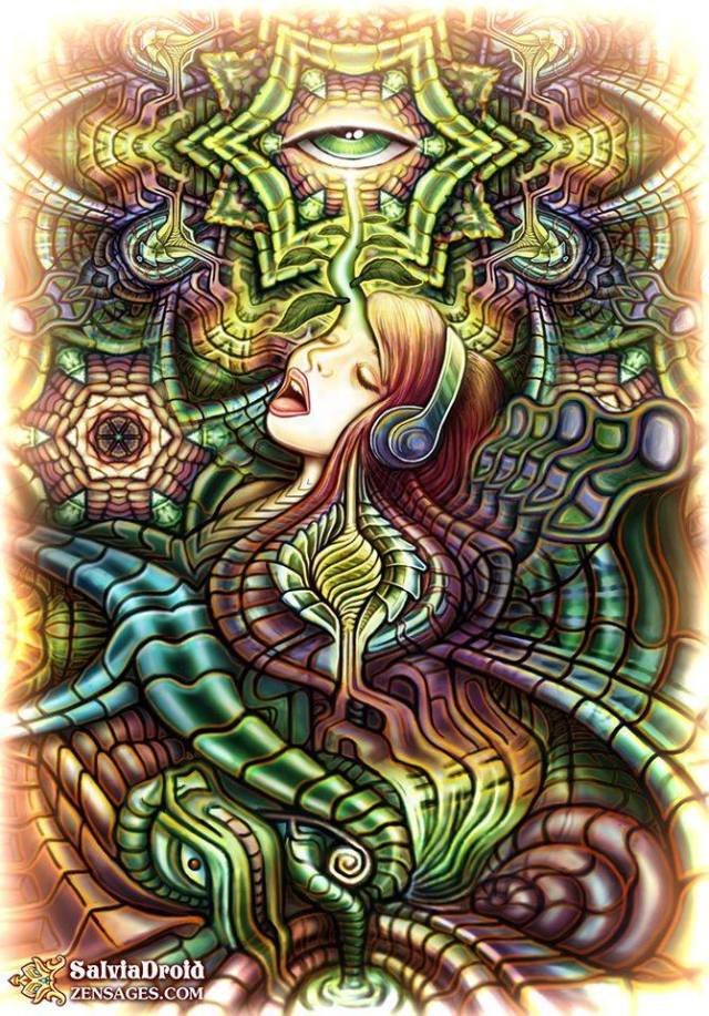 Art by Salvia Droid