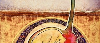 “As long as we are persistent in our pursuit of our deepest destiny, we will continue to grow. We cannot choose the day or time when we will fully bloom. It happens in its own time.” ~ Denis Waitley “As long as we are persistent in our pursuit of our deepest destiny, we will continue to grow. We cannot choose the day or time when we will fully bloom. It happens in its own time.” ~ Denis Waitley