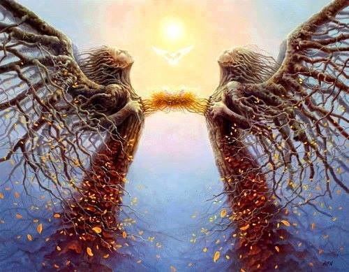 Tomasz Alen Kopera hearts