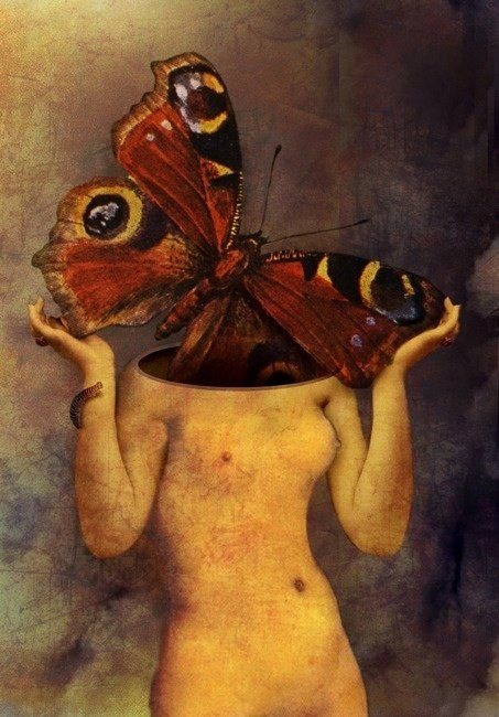 Artwork by Catrin Welz-Stein