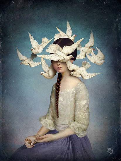 Birds by Christian Schloe